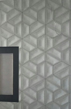 The DS Construction Project in St. Petersburg,
                Florida